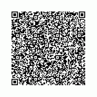 vCard 78619668738