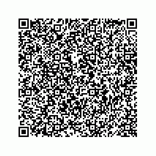 vCard 78619668739