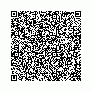 vCard 78619668781
