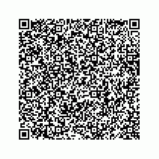 vCard 78619668803