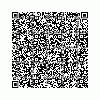 vCard 78619668807