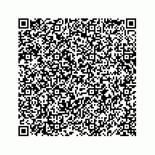 vCard 78619668808