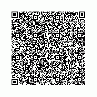 vCard 78619668811