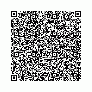 vCard 78619668813