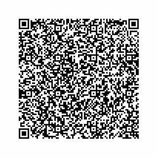 vCard 78619668821