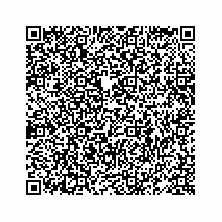 vCard 78619668831
