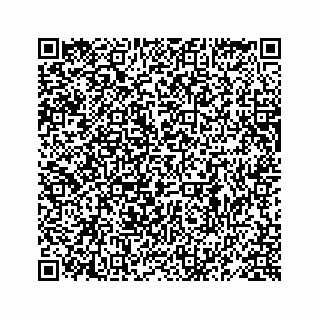 vCard 78619668832
