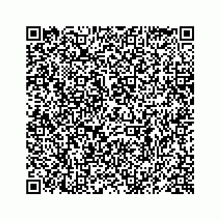 vCard 78619668874