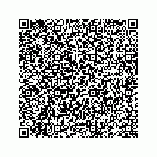 vCard 78619668882
