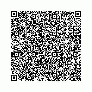 vCard 78619668911