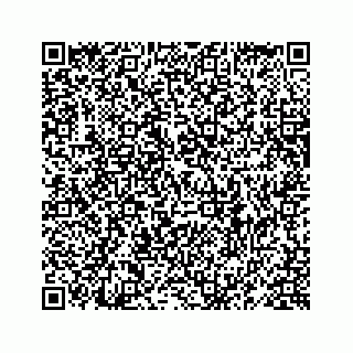 vCard 78619668913