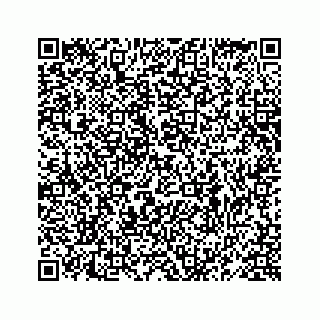 vCard 78619668931