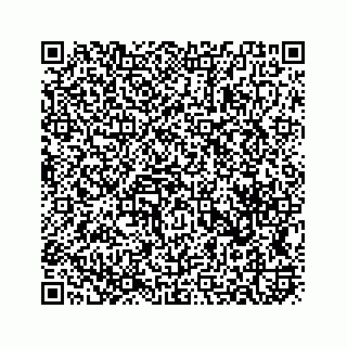 vCard 78619668938