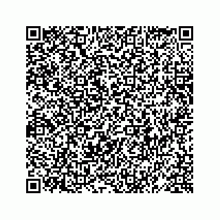 vCard 78619669011