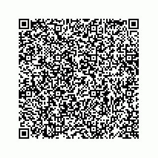 vCard 78619669031
