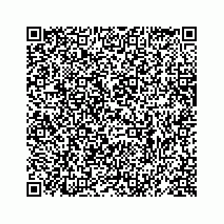 vCard 78619669033