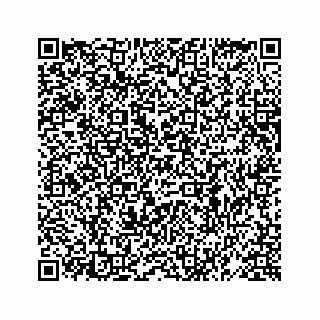 vCard 78619669036