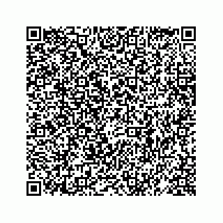 vCard 78619669037