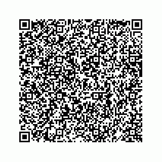 vCard 78619669063