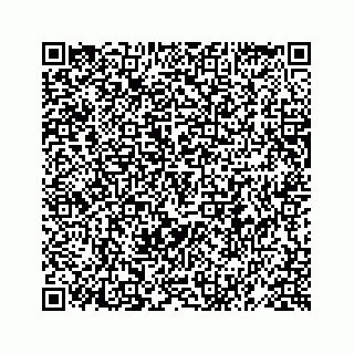 vCard 78619669086