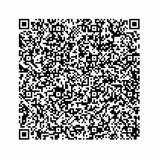 vCard 78619669381