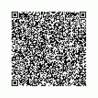 vCard 78619669385
