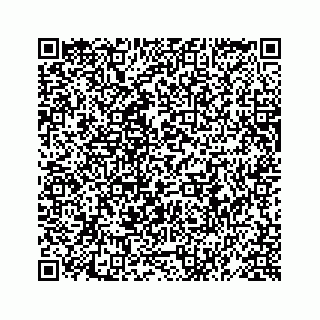 vCard 78619669402