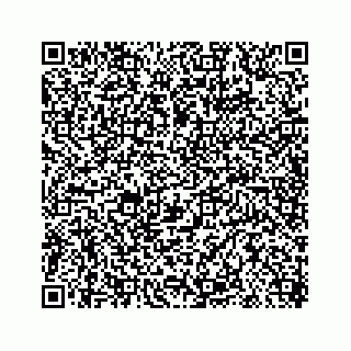 vCard 78619669411
