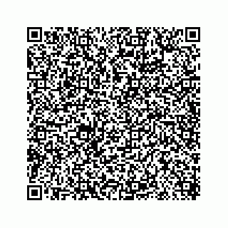 vCard 78619669739