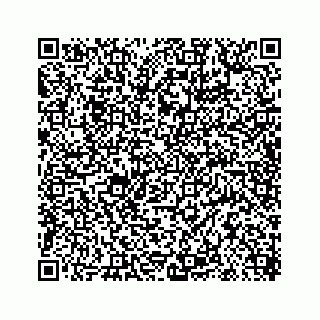 vCard 78619669795