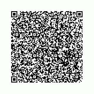 vCard 78619669933
