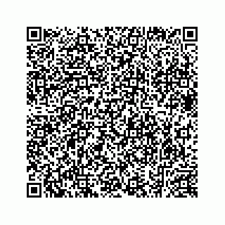 vCard 78632066631