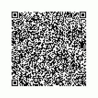 vCard 78632066741
