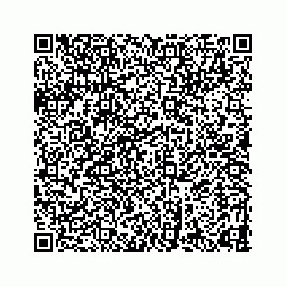 vCard 78632066881