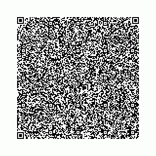 vCard 78632078133