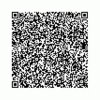 vCard 78632229376