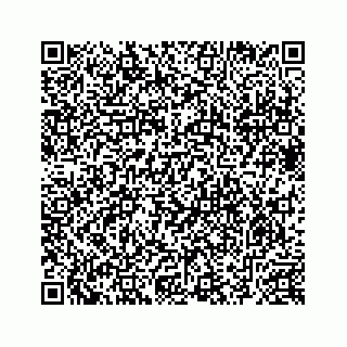 vCard 78632680380