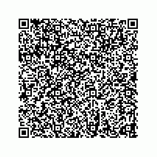 vCard 78632728335