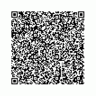 vCard 78632728411
