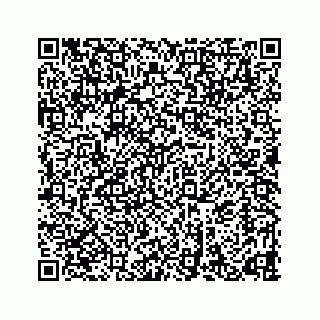 vCard 78632728419