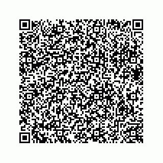 vCard 78632729007