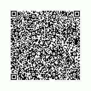 vCard 78632729008