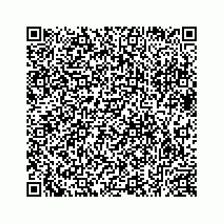 vCard 78632729031