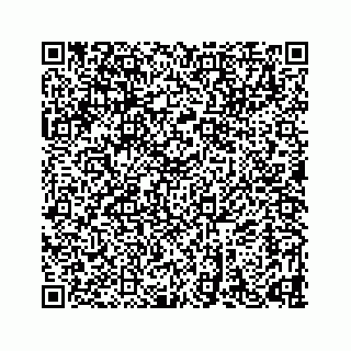 vCard 78632729037