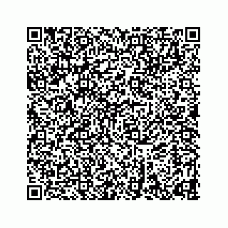 vCard 78632729041