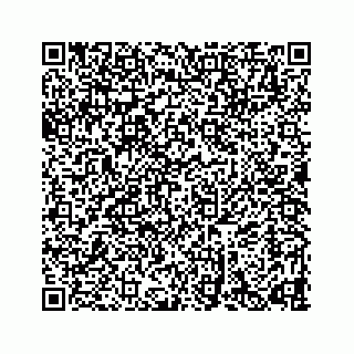 vCard 78632729062