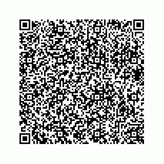 vCard 78632729067