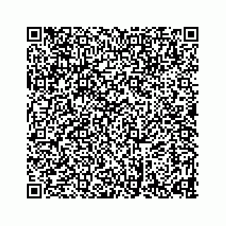 vCard 78632729100