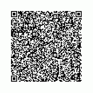 vCard 78632729133
