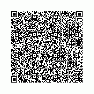 vCard 78632729137